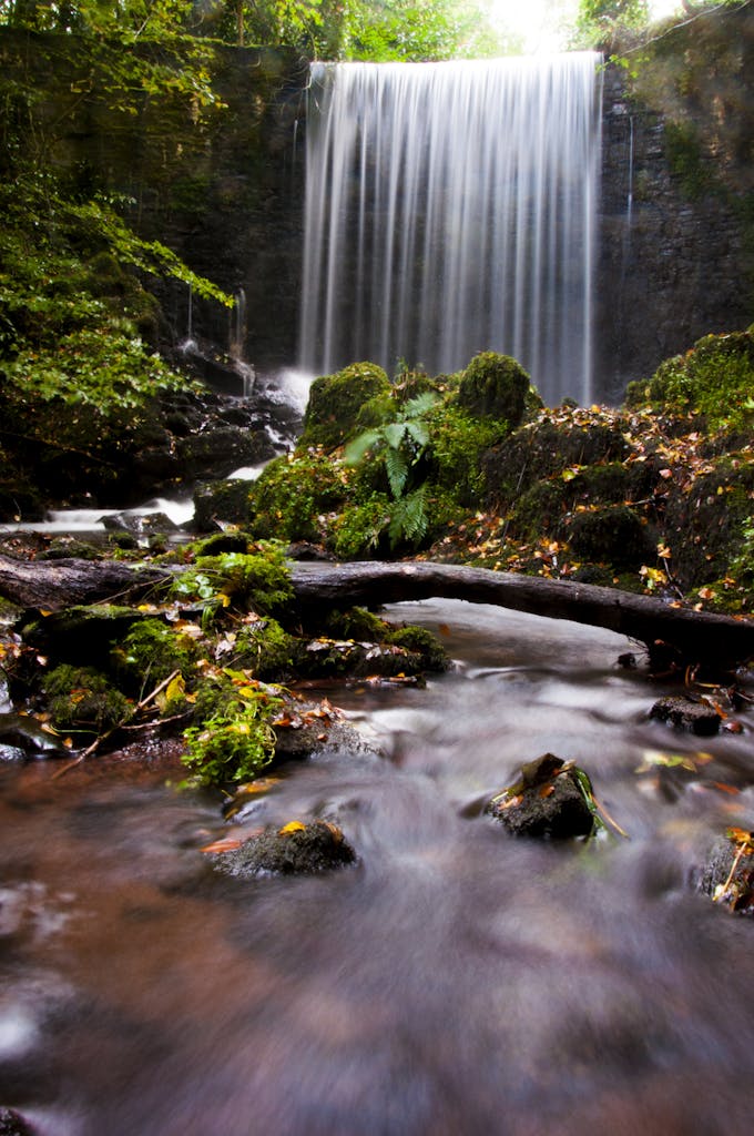 Stunning waterfall flowing through lush forest in Carmarthenshire, Wales.