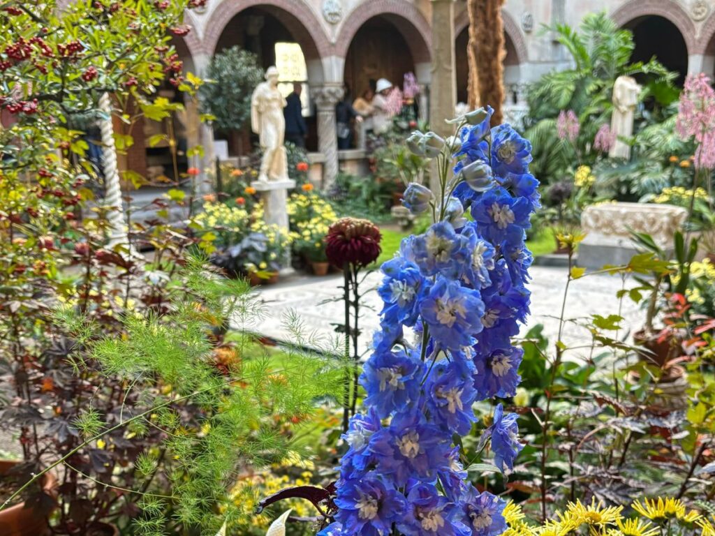 Central courtyard of the Isabella Stewart Gardner Museum in Boston, featuring blue delphiniums in the foreground.