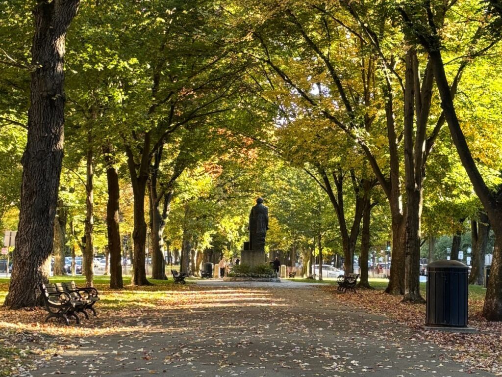 Commonwealth Avenue in Boston with tree-lined fall foliage, a distant statue, and pedestrian path leading toward Boston Public Garden.