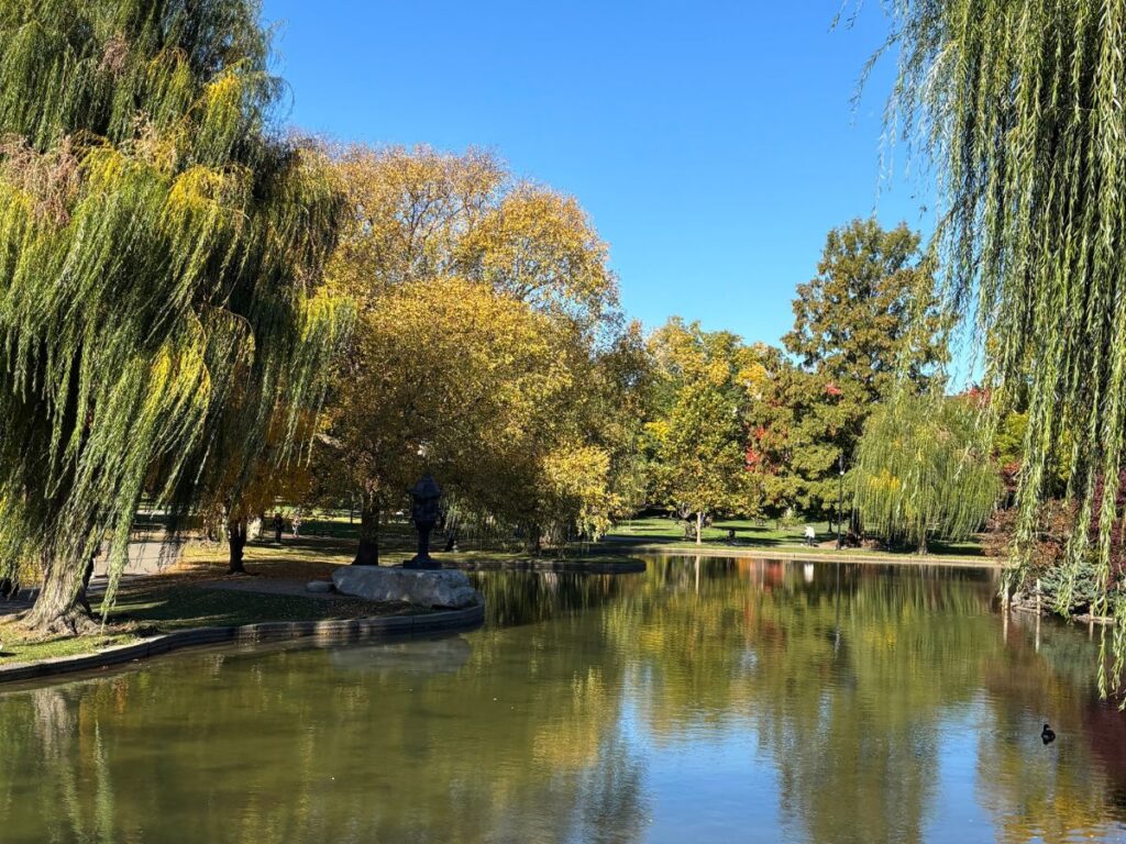 Autumn foliage in Boston Public Garden reflecting off the lagoon with red and golden leaves.