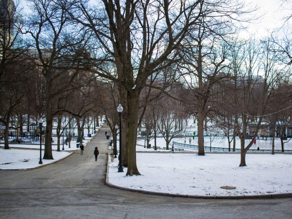 Boston Common in winter with Frog Pond ice skating and wide open paths.