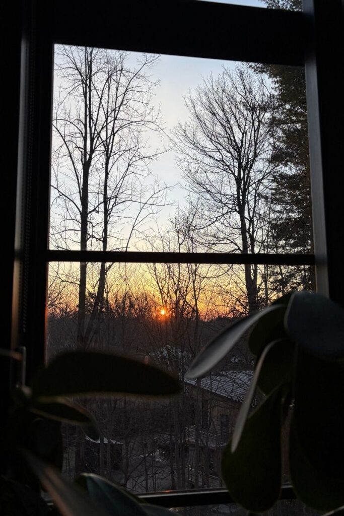 Early morning sunrise as seen through a window through trees in late spring.