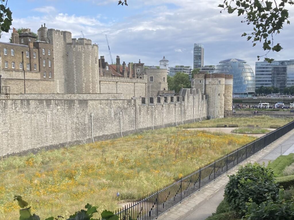 Moat at Tower of London filled with wildflowers in summer looking towards the south bank of the River Thames.