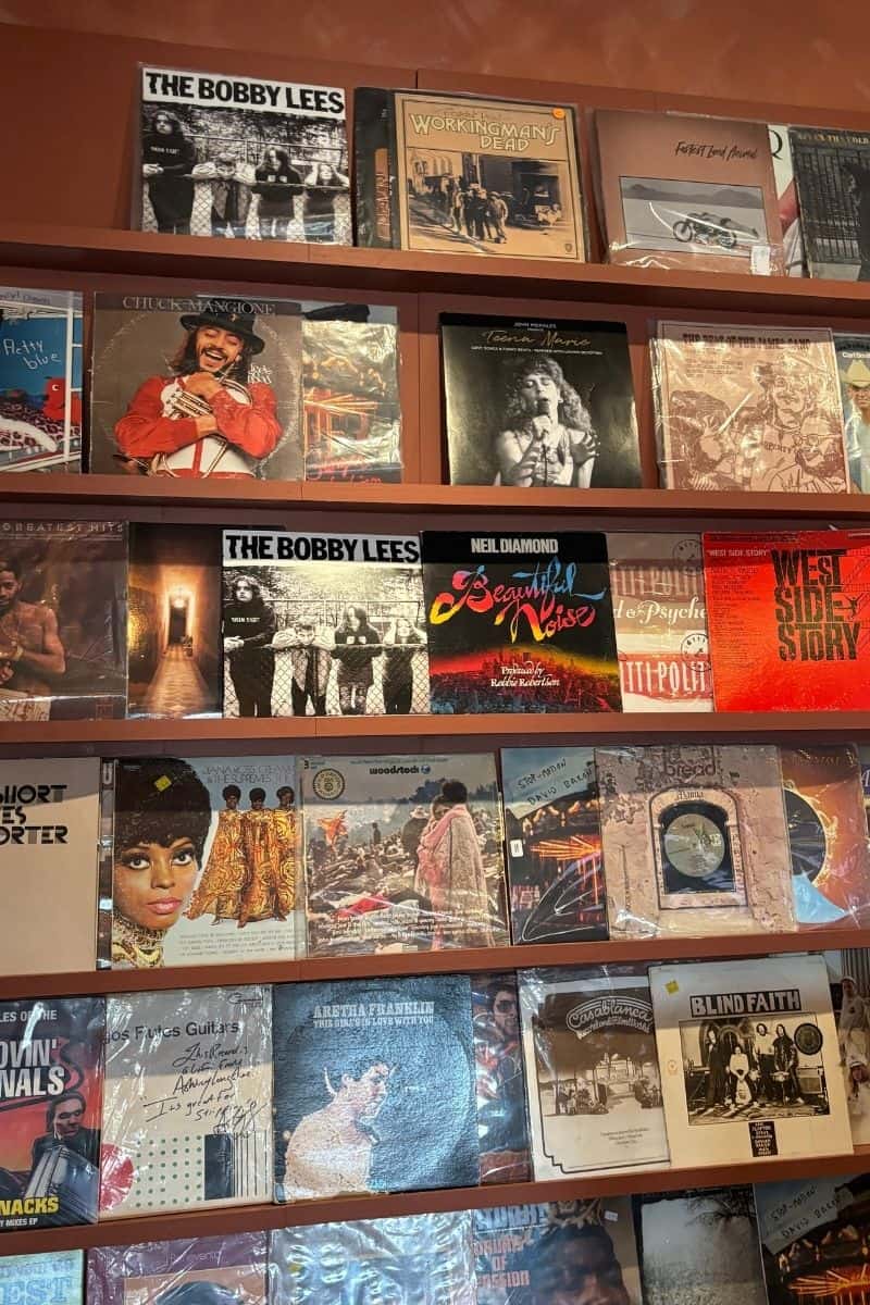 Vintage vinyl records displayed on a wall in rows.
